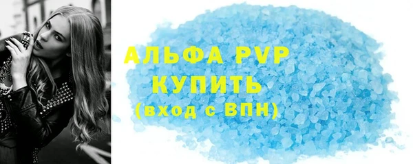 хмурый Аркадак