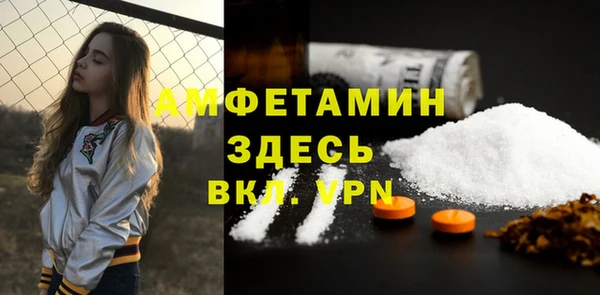 хмурый Аркадак