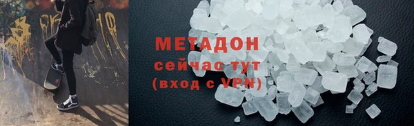 хмурый Аркадак