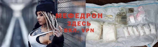 хмурый Аркадак