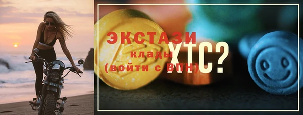 хмурый Аркадак