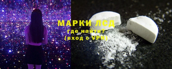 хмурый Аркадак