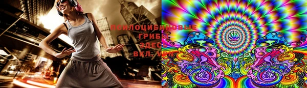 гидропоника Арсеньев