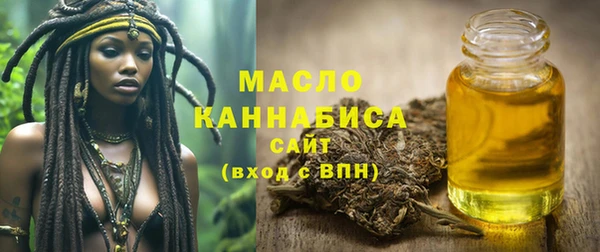 хмурый Аркадак
