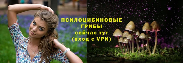 гидропоника Арсеньев